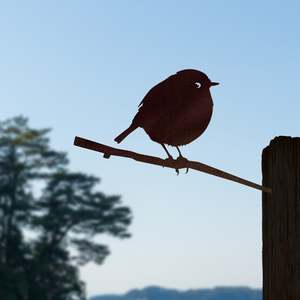 Conservation Birds: Black Robin