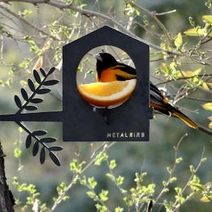 Limited Time Offer: Bird Feeder