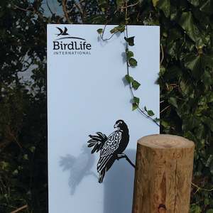 Criticals Collection: Manumea