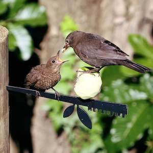 Bnz Promo Collection: Stick Bird Feeder