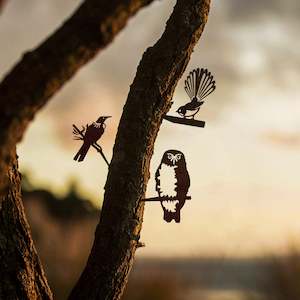 Piwakawaka Fantail: Baby Bird Bundle