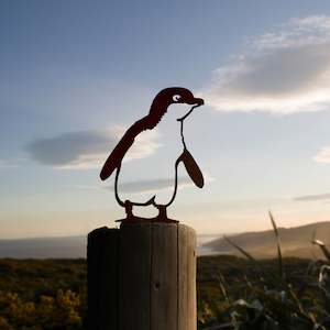 Ground Birds: Kororā / Little Penguin