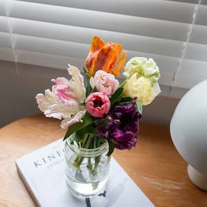 Pre Chilled Tulip Bulbs: A Colourful Spring Display - Pre-Chilled Tulip Bulbs Mixed