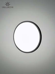 Outdoor Wall Light: WO130 Round Outdoor Ceiling Light