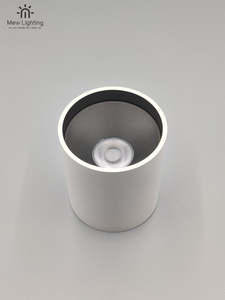 Down Light: Surface Mount Downlight White ML11011-W