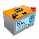 Products: 48V 55Ah Lithium Battery LiFePO4 Battery for Ryobi Lawn Mower