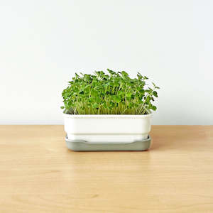 Products: MINI STARTER KIT