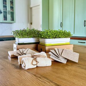 Micro Buddies Bundle