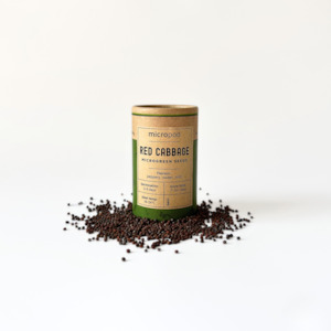 RED CABBAGE MICROGREEN SEEDS