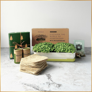 Christmas Bundle Deals: SHARE THE JOY BUNDLE