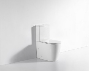 Toilet Suites: Back to Wall Toilet Suite Gloss White - Soft-Closing - Quick Release - Top/Bottom Entry
