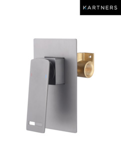 Logan: Logan Concealed Shower Mixer - Gun Metal