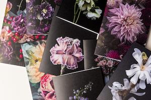 Wellbeing: FLORAL GREETING CARDS