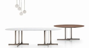 Products: NELL by Ditre