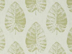 Sketchbook Collection: Laurie Fern Fabric