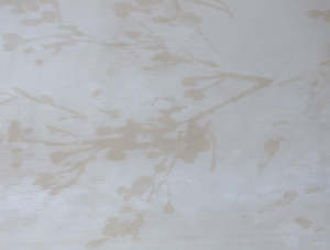 Sarasota Bisque Sheer Voile Fabric 290cm