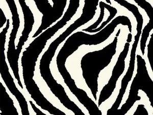 Clearance Fabric: Africa Fabric 280cm