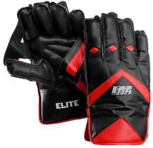 INS Elite Wicket-Keeping Gloves