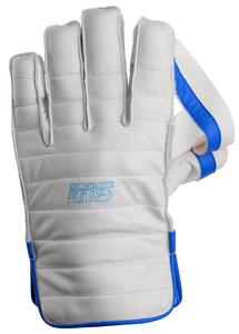 INS Ethereal Wicket Keeping Gloves