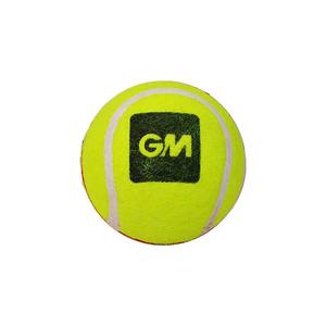 Cricket Balls: GM Swing King Cricket Ball (Red/Yellow)