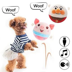 Pet Supplies: PetPalz: Interactive Talking Ball For Pets