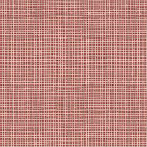 The Birdhouse~ Ready for Another Christmas~Red Check