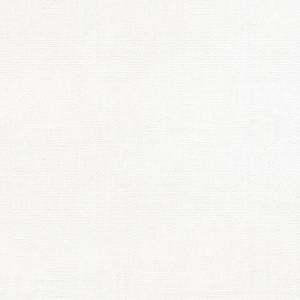 Linen Fabric: Devonstone Linen Cotton Solid ~ DV4101 white