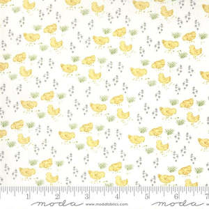 Break Of Day: Break of Day~Chickens~Here Chick, Chick