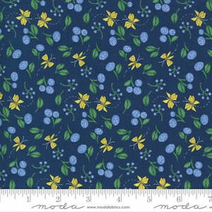 Cottage Bleu: Cottage Bleu~Little Drawings~ Floral Butterflies~midnight