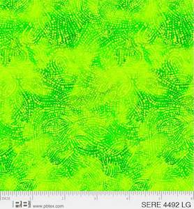 Serenity by Jetty Home~ 4492LG