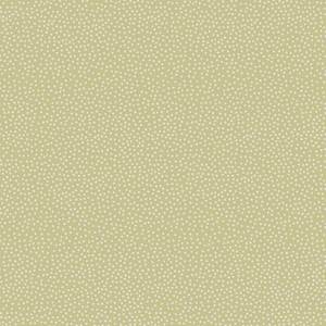 The Birdhouse Basics~ sage green dots