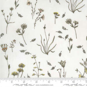 Janet Clare "Botanicals"~ field flowers~ parchment