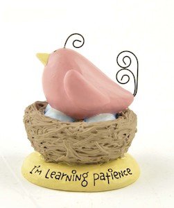 Ruffle Your Feathers Giftware Range: Ruffle your Feathers Range ~I'm Learning patience