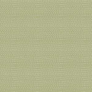 Hatched & Patched~ Slow & Steady~ DV7438