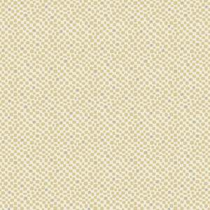 Hatched & Patched~ Slow & Steady~ DV7431