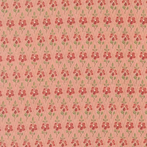 French General~ Fleur de Paris~  Paquerette ~ Pale Rose