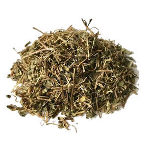 Energizers: Gotu Kola (Centella asiatica) Organic - the cosmic think drink