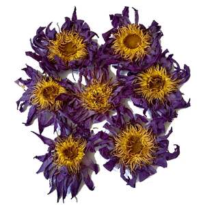 Top 10 Smartshop: Blue Lotus (Nymphaea caerulea) Organic Whole Flowers