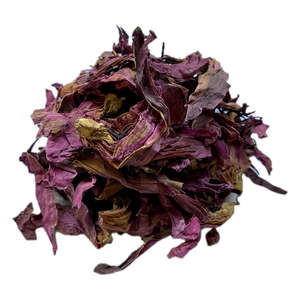 Herbs Extracts Elevated Botanicals: Red Lotus (Nymphaea rubra)