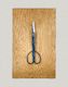 Pruning Scissors