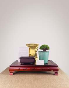 Nz Bonsai Diy Kit: Lawson Cypress DIY KIT (Exclude Tools & Wires)