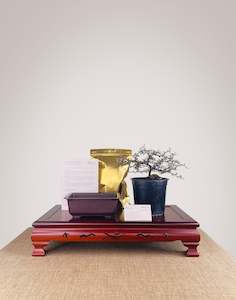 Corokia DIY KIT (Exclude Tools & Wires)