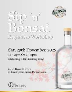 Sip & Bonsai Beginners Workshop | 29th Nov 2025