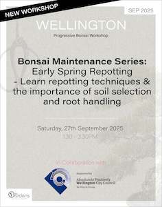 Progressive Bonsai Workshop | 27th September 2025
