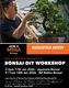 Beginners Bonsai Workshop | 17&18th Jan 2026
