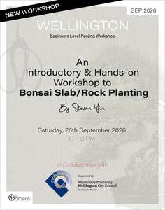 Bonsai Slab Planting Workshop | 26th September 2026