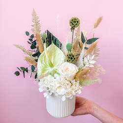 All: Preserved Arrangement - Forrest