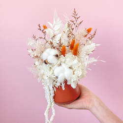 All: Preserved Arrangement - Brazen