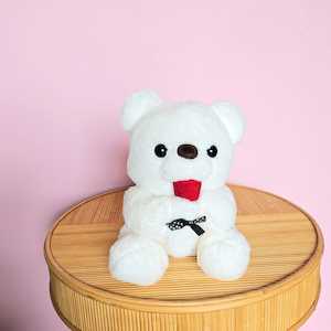 White Teddy Bear