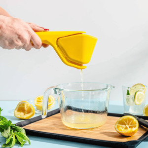 Fluicer - Fold Flat Juicer
